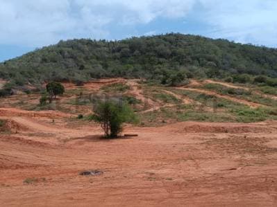 Disponible para la venta terreno con una gran extensión en la isla de Margarita - photo 3