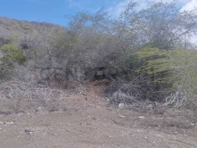 TERRENO MULTIPROPOSITO EN APOSTADERO,ISLA DE MARGARITA - photo 3