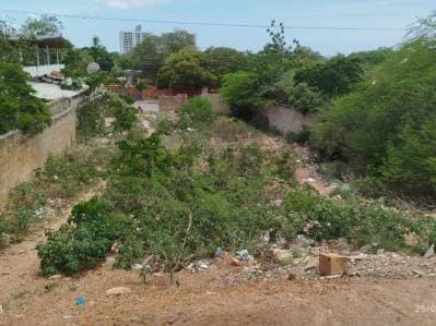 Terreno con flujo comercial Juan Griego, Estado Nueva Esparta - photo 4