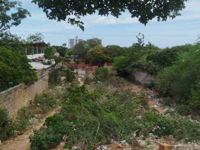 Terreno con flujo comercial Juan Griego, Estado Nueva Esparta - photo 3