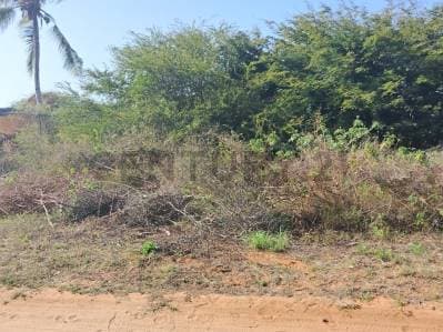 Terreno en Aricagua 828m2 - photo 3