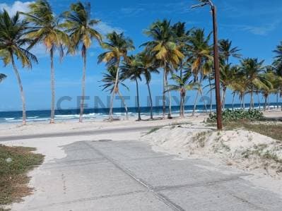 Terreno en Venta en La Exclusiva Playa El Agua Lote ideal para invertir. - photo 2