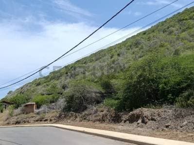 Terreno de uso turístico residencial 3.174mt2 frente a playa Guacuco - photo 4
