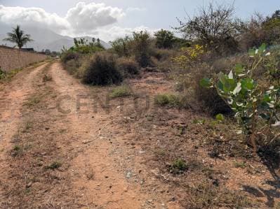 Terreno en el Cardón ideal para desarrollo de proyecto en Antolín del Campo - photo 4