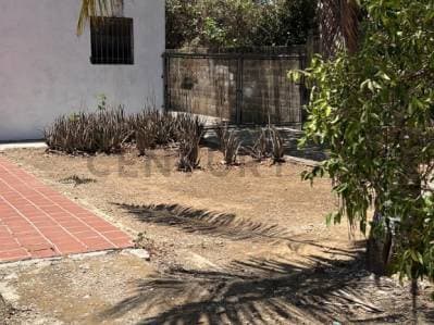 Oportunidad: en la Asuncion 3 viviendas con terreno a pie de calle - photo 3