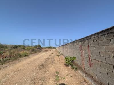 Terreno en el Cardón ideal para desarrollo de proyecto en Antolín del Campo - photo 2