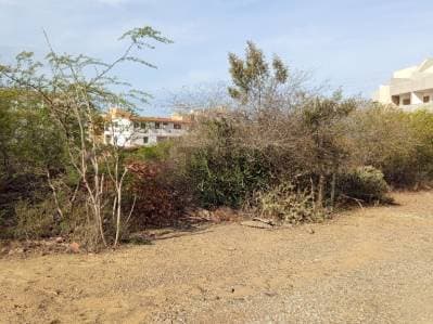 Terreno turístico Playa El Yaque - photo 5