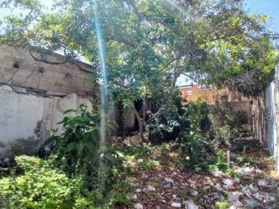 TERRENO IDEAL PARA COMERCIO O VIVIENDA FAMILIAR EN UBICACION PRIVILEGIADA - photo 3