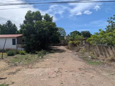Excelente Parcela en venta en sector Conuco Viejo - photo 4