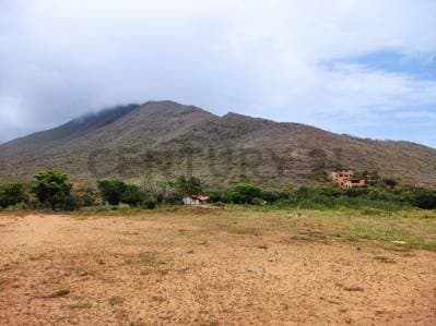 Venta de Finca con Terreno Fértil y Potencial Residencial en Guarame - photo 3
