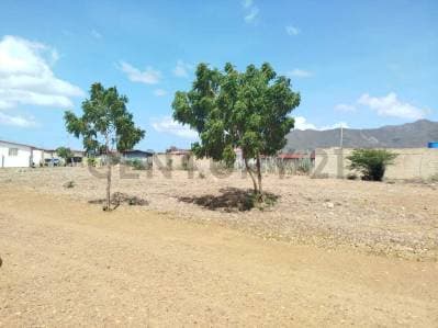 Terreno Ell Espinal , isla de Margarita - photo 4