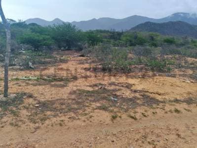 LOTE DE TERRENO PLANO UBICADO EN SAN ANTONIO, MUNICIPIO GARCIA - photo 4