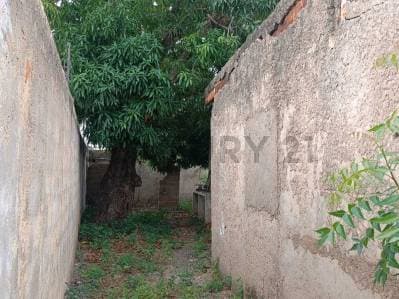 Local comercial en alquiler con proyecto para Colegio - photo 4