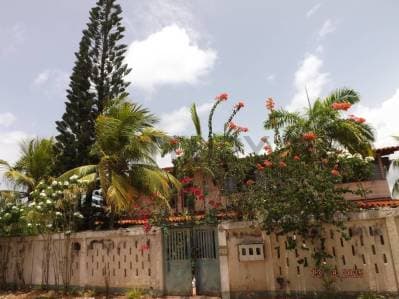 Terreno con tres casas en Antolin del Campo - photo 3