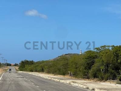 terreno en Pedro Gonzalez cerca de la playa, Isla de Margarita - photo 5