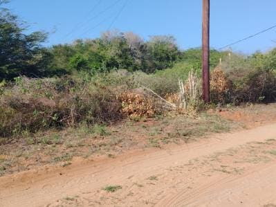 Terreno en Aricagua 828m2 - photo 2