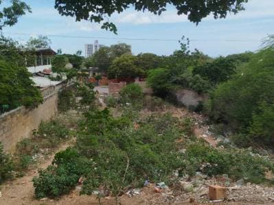 Terreno con flujo comercial Juan Griego, Estado Nueva Esparta - photo 5