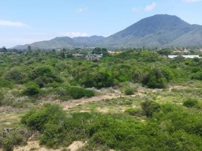 Terreno Playa el Agua, Antolin del Campo, La Plaza de Paraguachi, Nueva Esparta - photo 5