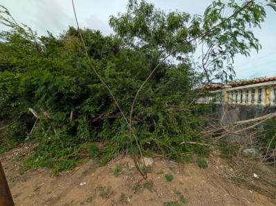 PARCELA DE TERRENO EN LA ASUNCION - photo 5