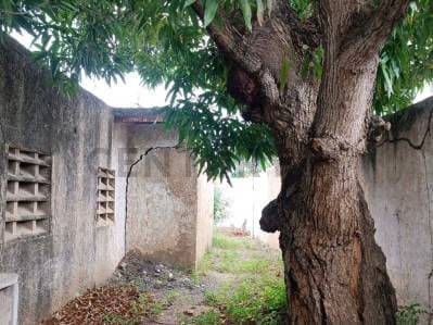 Local comercial en alquiler con proyecto para Colegio