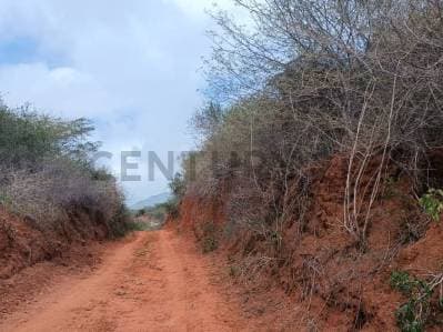 Disponible para la venta terreno con una gran extensión en la isla de Margarita