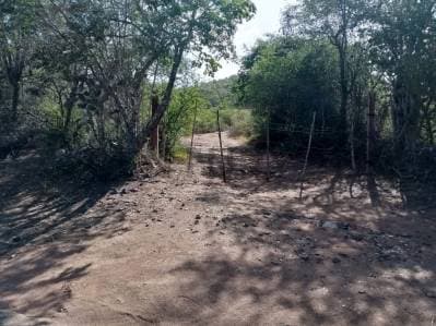 Terreno Agricola - Valle Pedro Gonzalez - Margarita - photo 2