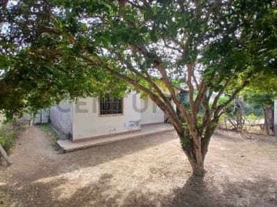 CASA ECONOMICA EN LA ISLA DE MARGARITA, LOS MILLANES, JUAN GRIEGO - photo 2