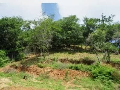 Terreno con bienhechuria en salamanca, la asunción - photo 5