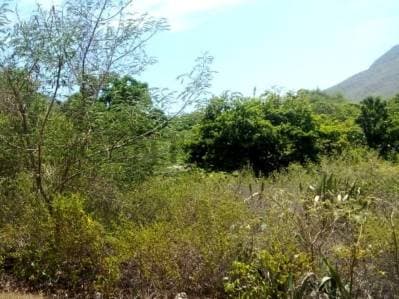 TERRENO EN EL SALADO ISLA DE MARGARITA VENEZUELA - photo 3