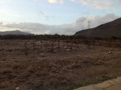 Terreno para desarrollo Campestre, El Datil, Isla de Margarita - photo 4