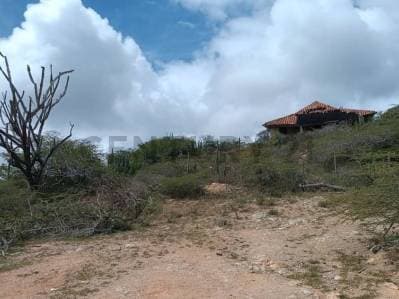 En venta terreno En los Robles, Isla de Margarita - photo 2