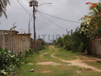 Terreno con tres casas en Antolin del Campo - photo 2