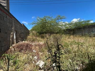 Terreno en 4 de Mayo , sector Genovés - photo 3