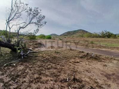 TERRENO EN VENTA. CERCA DE PLAYA ZARAGOZA. PEDROGONZALEZ.ISLA DE MARGARITA. - photo 4