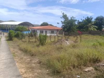 TERRENO EN VENTA EN PAMPATAR, NUEVA ESPARTA - photo 5