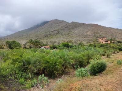 Venta de Finca con Terreno Fértil y Potencial Residencial en Guarame - photo 5