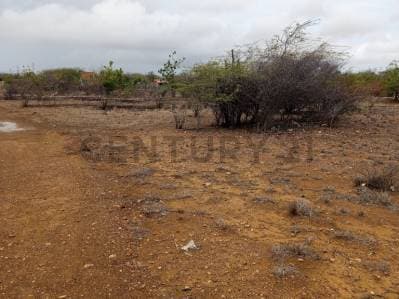 Terreno av. Juan Bautista Arismendi, Isla de Margarita - photo 4