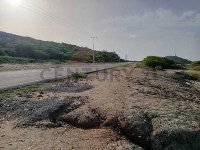 TERRENO EN VENTA. CERCA DE PLAYA ZARAGOZA. PEDROGONZALEZ.ISLA DE MARGARITA. - photo 2