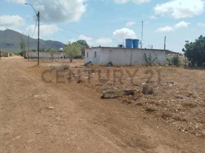 Terreno Ell Espinal , isla de Margarita - photo 5
