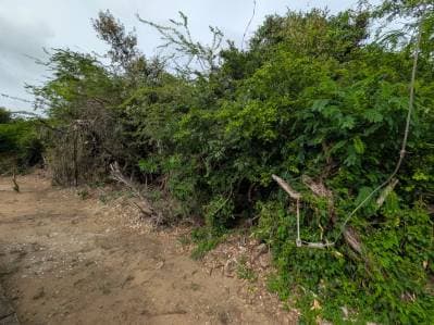 PARCELA DE TERRENO EN LA ASUNCION - photo 4