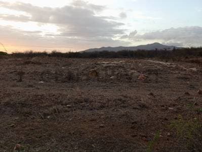 Terreno para desarrollo Campestre, El Datil, Isla de Margarita - photo 5