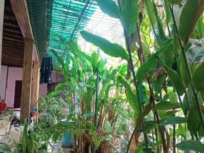 En venta Casa a orilla del mar en Pampatar - photo 5