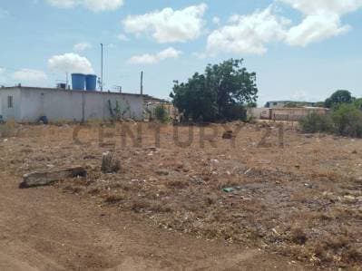Terreno Ell Espinal , isla de Margarita - photo 3