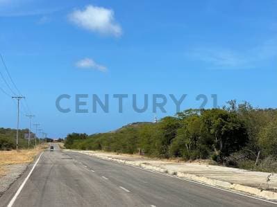 terreno en Pedro Gonzalez cerca de la playa, Isla de Margarita - photo 4