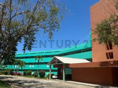 Apartamento en excelente condominio a orilla de playa - photo 2