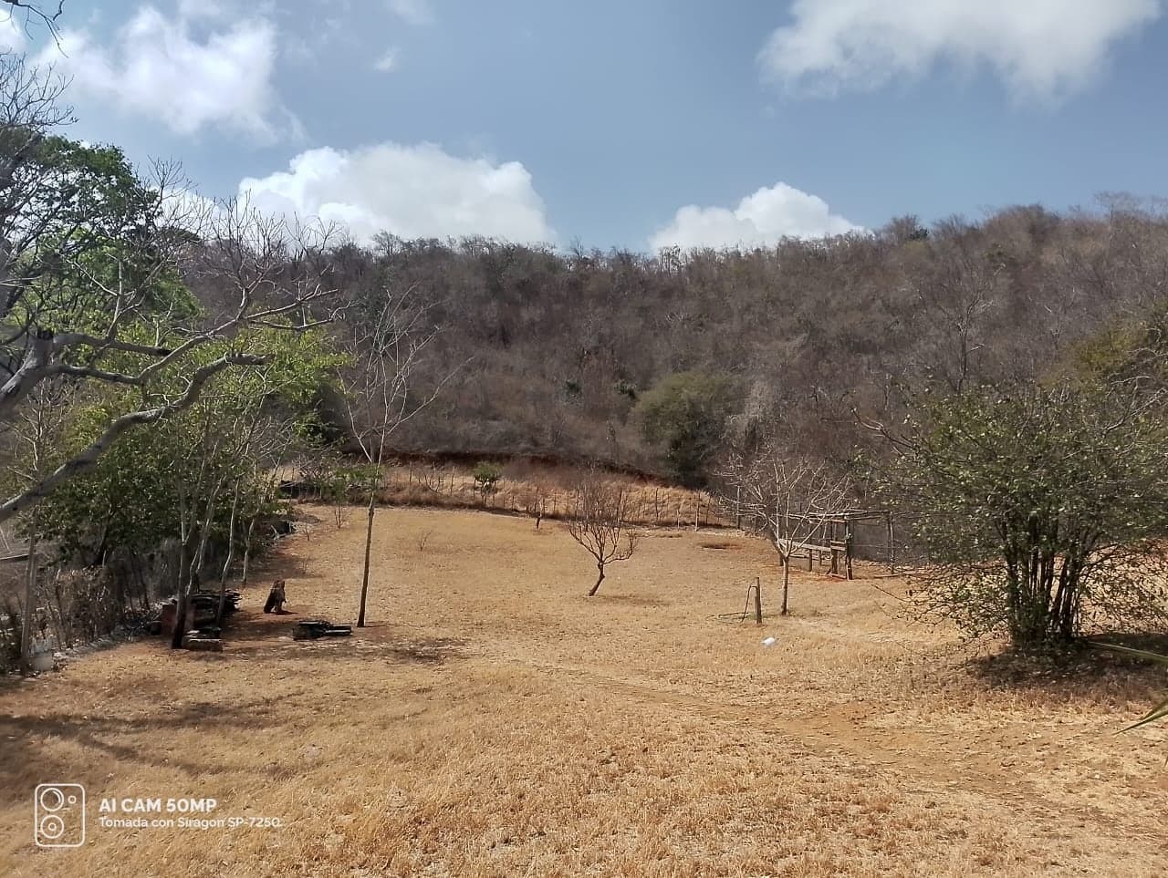 Property in Venezuela - photo 3